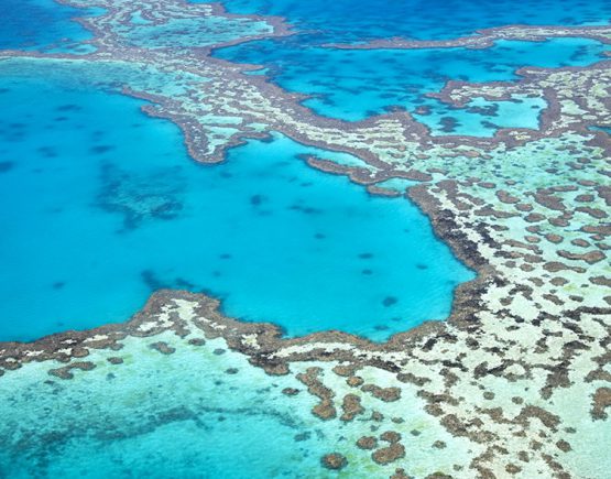 The Great Barrier Reef, Australia